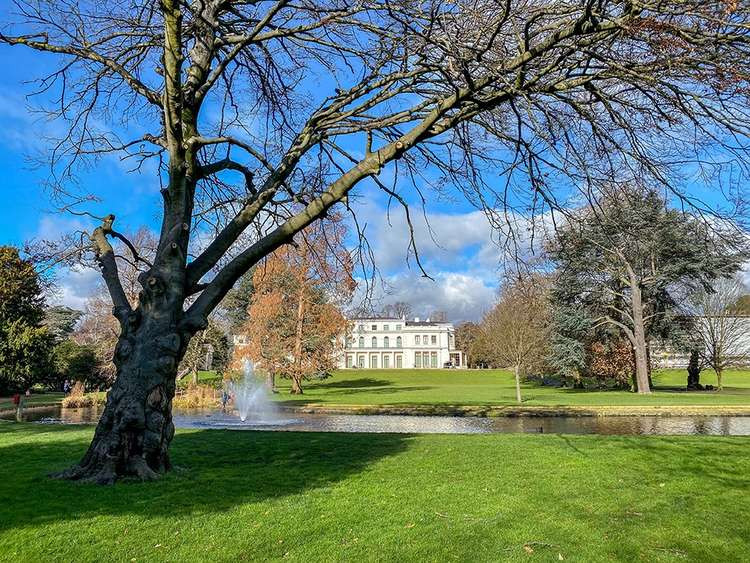 The old beech tree in Gunnersbury Park has been chopped down (Image: Gunnersbury Park)