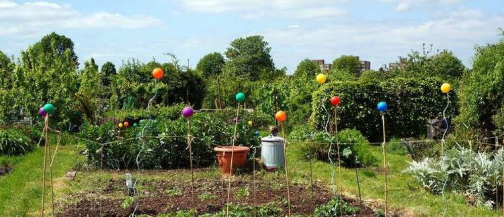 Greenford Park Cemetery will expand into the nearby Windmill Lane Allotments (Image: Pitshanger Allotments)