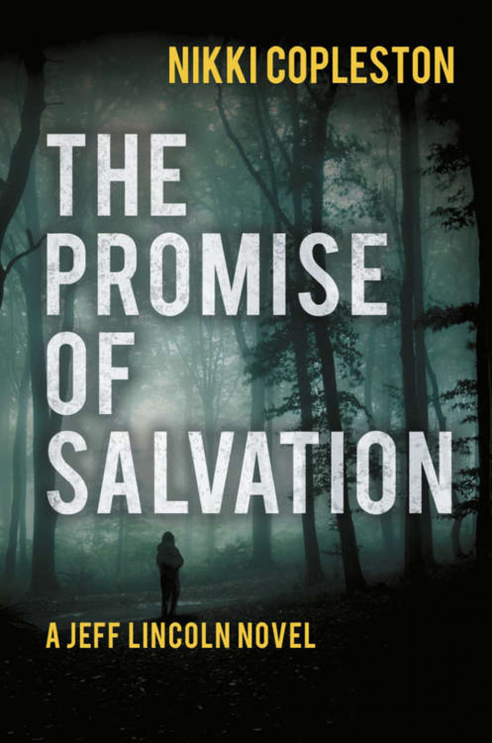 The Promise of Salvation - Nikki Copleston's new crime novel