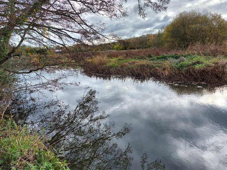 The start of the natural area in Frome (November 21)