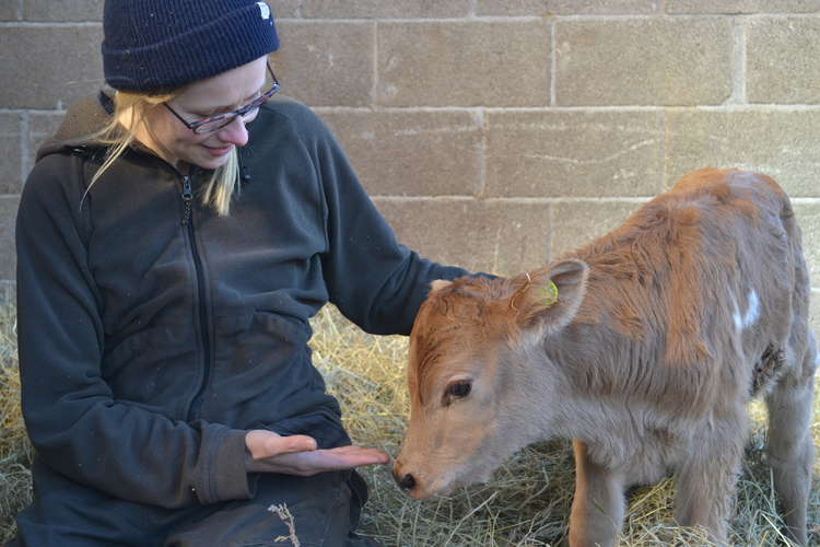 Hannah has named every one of her herd even newbies like Hawthorn only born on March 5 - named as a H after her mother.