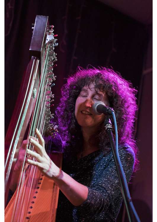 Musician Vicki Burke in concert