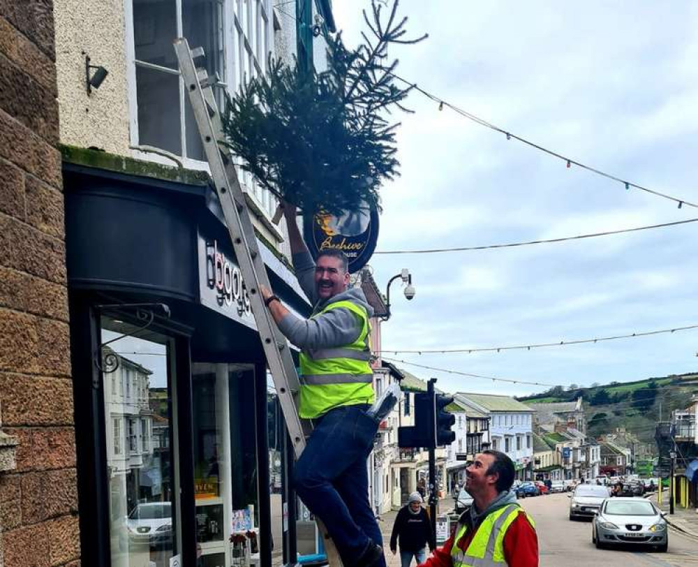 The Christmas trees going up in the town. Credit: Helston Christmas Lights.