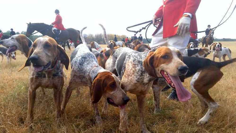 A debate on trail hunting in Cornwall saw councillors speaking passionately in favour and against the practice.