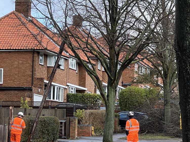 The dangerous telegraph pole currently leaning into a tree after Storm Eunice caused havoc in a Hitchin road. CREDIT:@HitchinNubNews