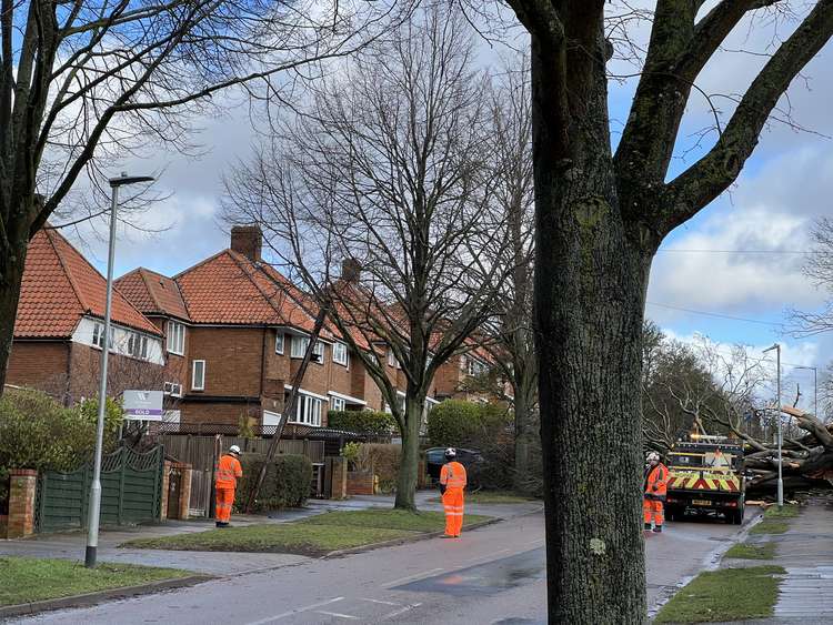 The dangerous telegraph pole currently leaning into a tree after Storm Eunice caused havoc in a Hitchin road. CREDIT: @HitchinNubNews