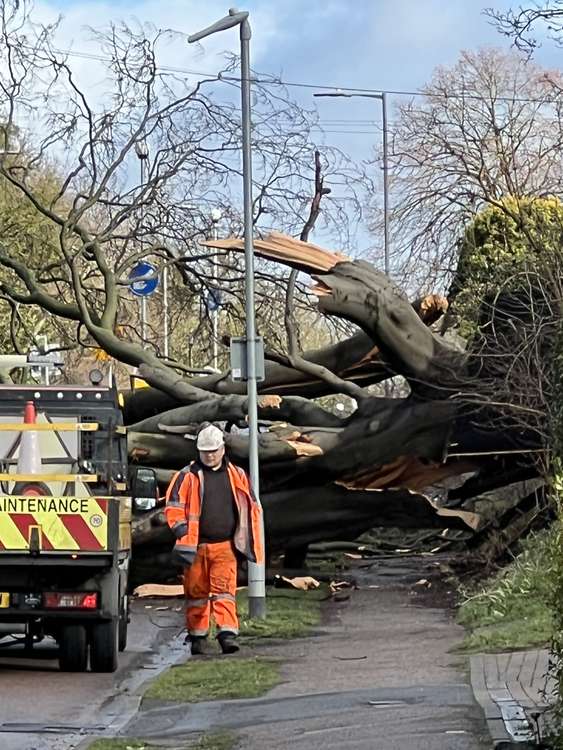 Storm Eustace fells huge tree causing it to come crashing down onto a Hitchin road. CREDIT: @HitchinNubNews