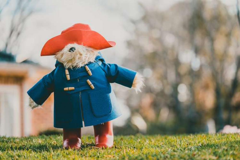 What's On in Hitchin this weekend March 25-26. A brilliant Paddington Bear exhibition is on at the North Herts Museum. CREDIT: Unsplash