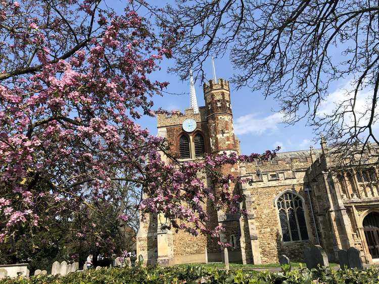 Blossom at St Mary's Church. CREDIT: St Mary's Church