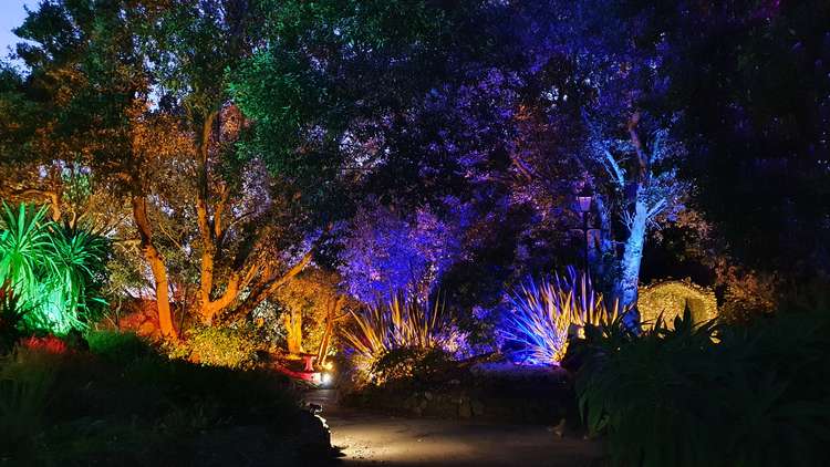 An illuminated pathway at Connaught at Christmas