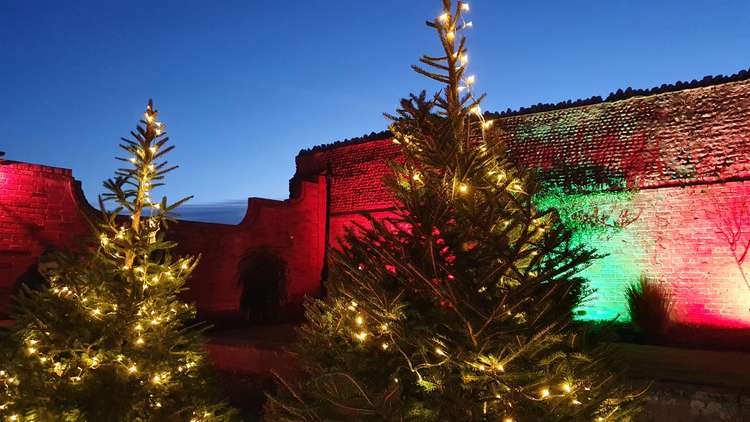 Connaught at Christmas trees lit up