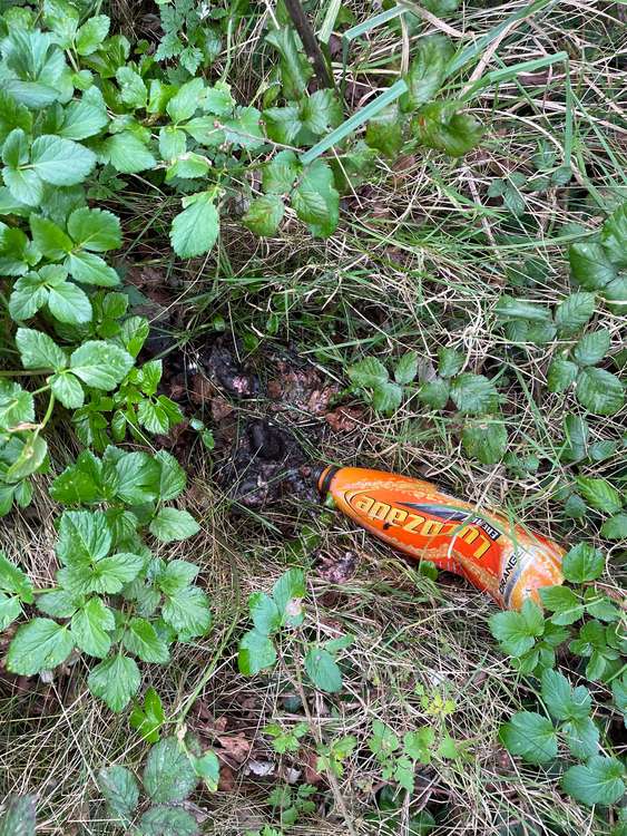 Rob found a soft drink bottle that was full of shrews and mice.