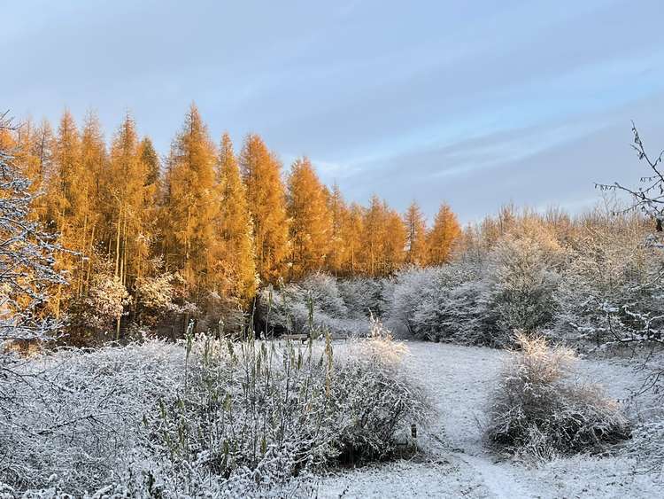 Ms Berry wanted to show the beauty of Hucknall. Photo credit: Tania Berry.