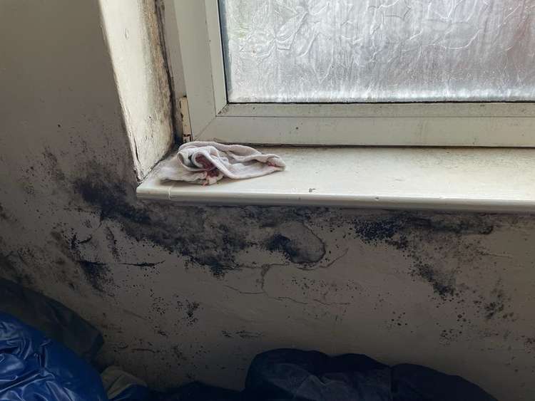 Mould inside the home in Stoneyford Road, Stanton Hill. Photo: LDRS.