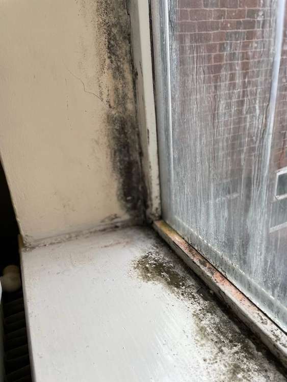 Mould inside the home in Stoneyford Road, Stanton Hill. Photo: LDRS.