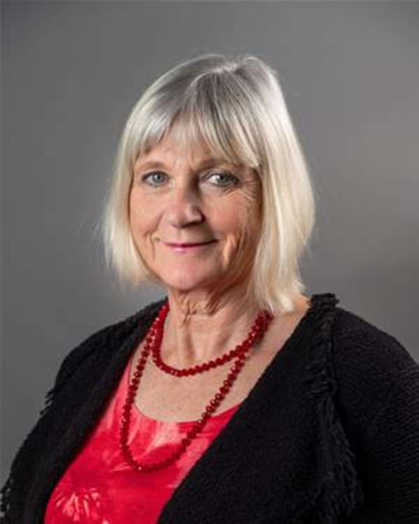 Deputy Leader of the Labour Group Cllr Marilyn Houston.