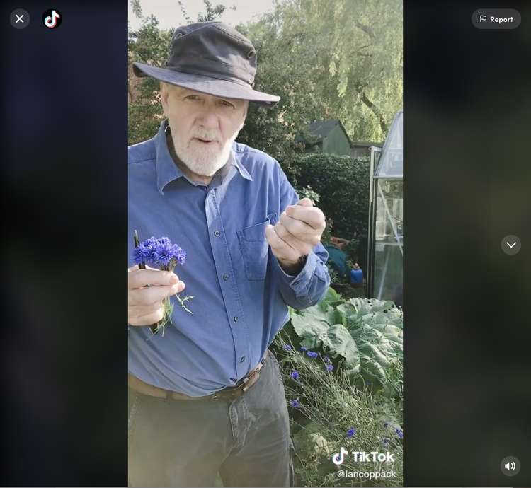 Ian teaching his fans how to cut cornflower. His TikTok topics span climate change, bird-spotting and nature Q&A's from fans. (Image - Ian Coppack / @iancoppack)