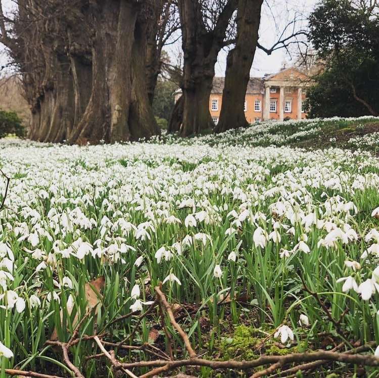 Macclesfield: After almost two years of pandemic visitor restrictions, Adlington Hall & Gardens is welcoming unrestricted visitors once more.