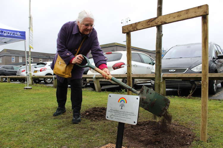 A Mountain Ash tree (Sorbus aucuparia) will reside next to the duck pond at Macclesfield Hospital. Ex-Mayor Cllr Janet Jackson helped plant the tree.