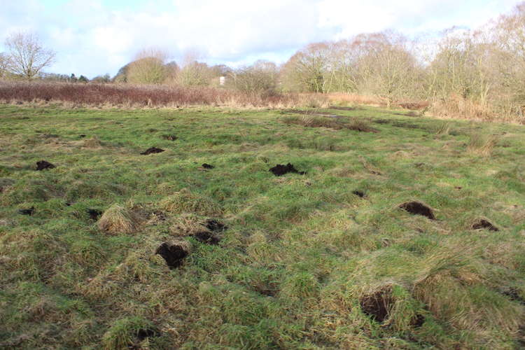 The controversial site which could see almost 1000 new homes is also known as the South Macclesfield Development Area