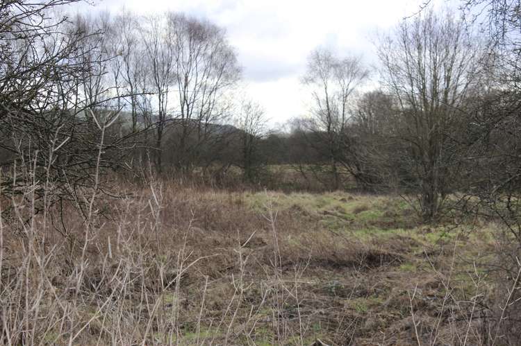 Cheshire Wildlife Trust, who operate the adjacent Danes Moss Nature Reserve, have also opposed the proposed plans.