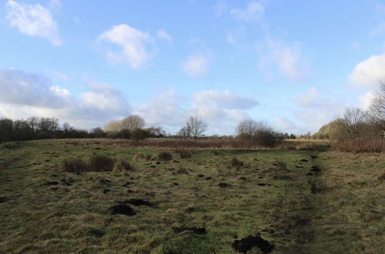 Macclesfield: Peat is the brown soil you can see in this picture of the site.