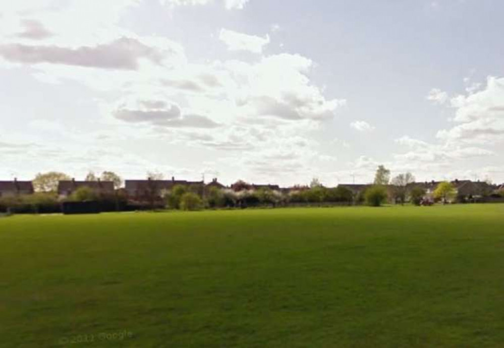 A tree is set to be planted in Primrose Meadow as part of the project (Photo: 2021 Google)