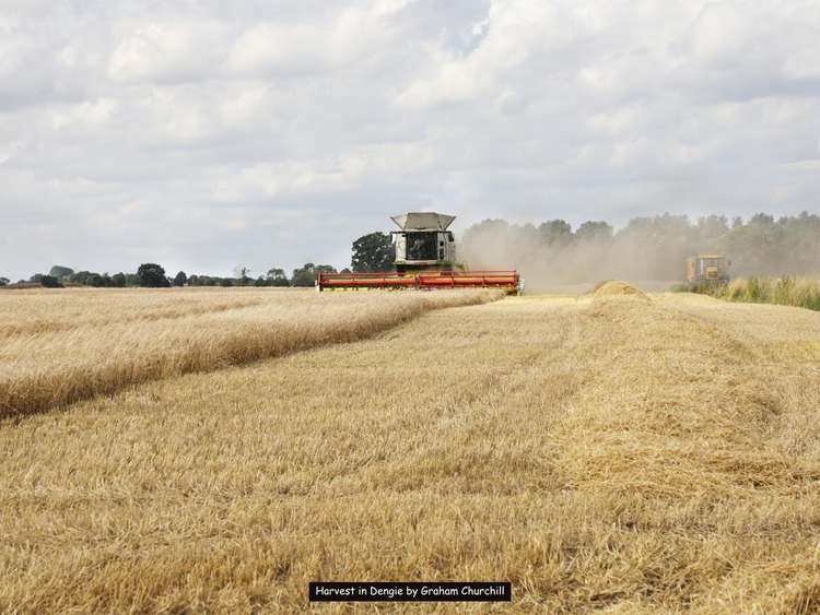 August 2022: Harvest in Dengie by Graham Churchill