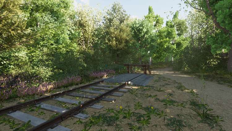 The woodland walk on the site would include a woodland rail (Photo: Lewis & Scott)