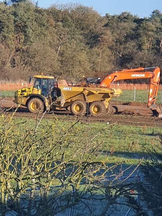 The site surrounds Heybridge Wood (Photo: Penny Dashwood-Calvert)