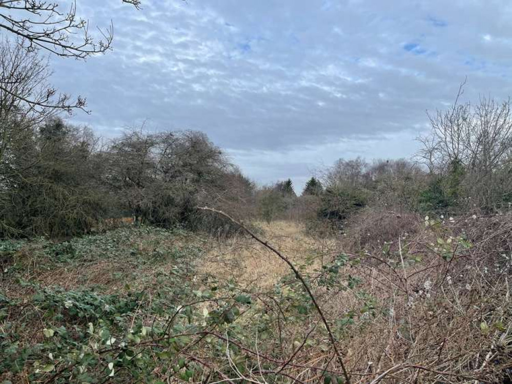 The land in Witham where the new school is planned to be built (Photo: LDRS)