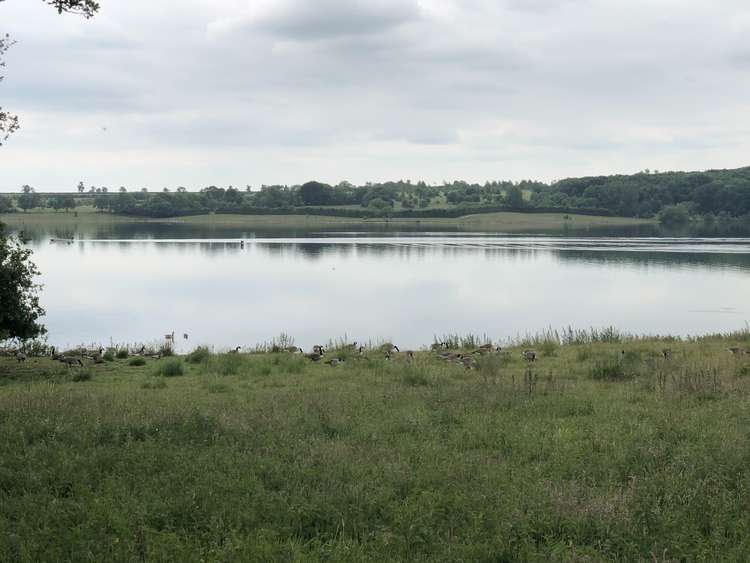 View of Rutland Water from Hambleton Peninsula, near where the Birdfair took place.