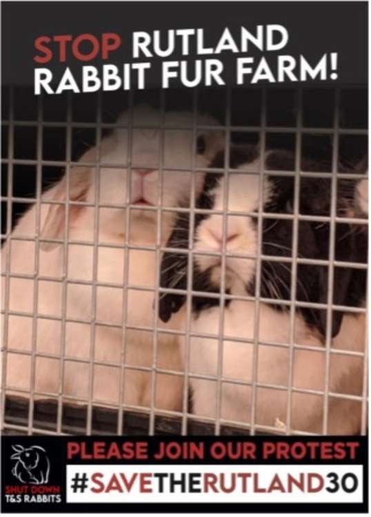 Shut Down T&S Rabbits' poster (image courtesy of Shut Down T&S Rabbits)