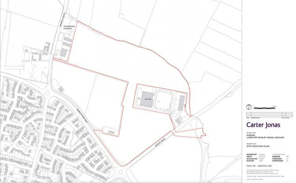 The outlined area for the location of the proposed new homes (image courtesy of Carter Jonas)