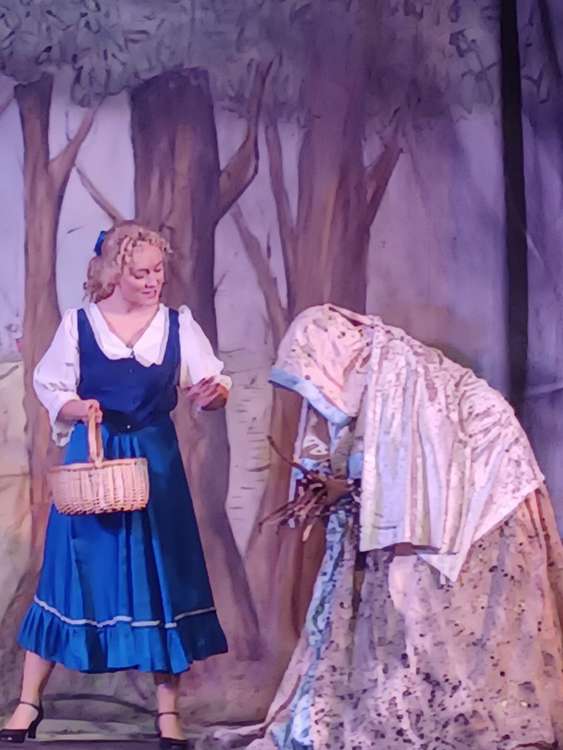 Cinderella meets a mysterious old women in the forest