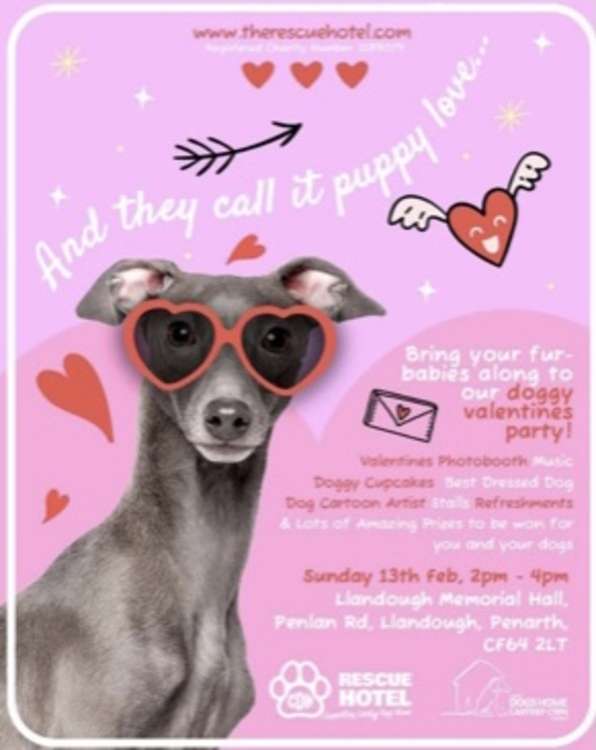 A Valentine's party for dogs! Sunday, February 13, 14:00 - 16:00.