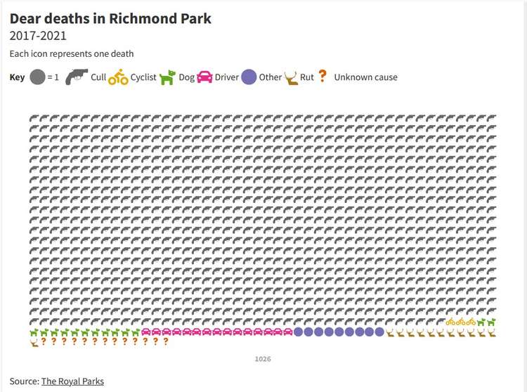 The total number of deer deaths in the last five years.