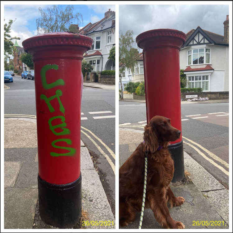 Councillor Joyce has criticised the Council for not doing enough and often posts details on Twitter about his work to clean-up the streets, which involves taking along his pet dog Storm.