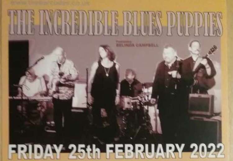 Friday – Expect a mix of classics alongside some great originals from the Incredible Blues Puppies.