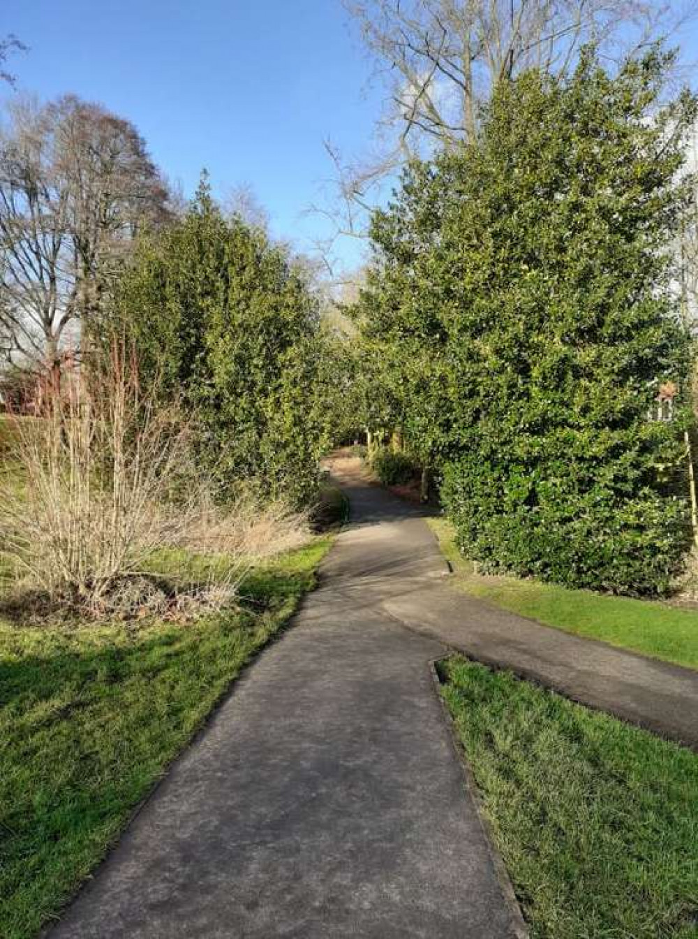 The sun is shining in Sandbach Park today (Wednesday)