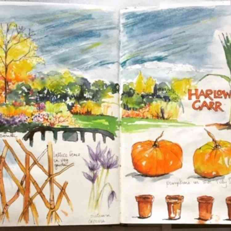 A journal page recording a trip to RHS garden, Harlow Carr.