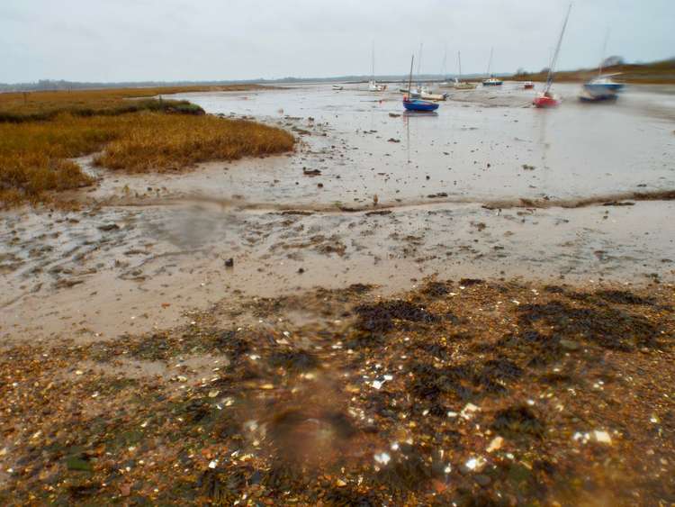 Holbrook creek Holbrook creek