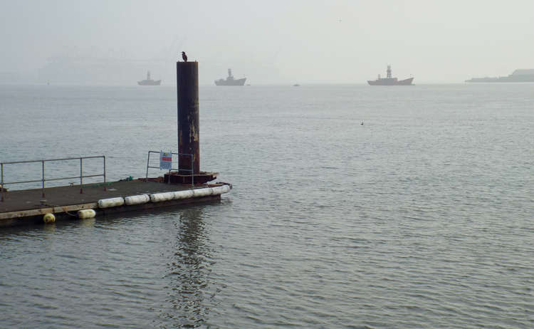 Pecking order with light ships in the background, pictured by Jess Barnard