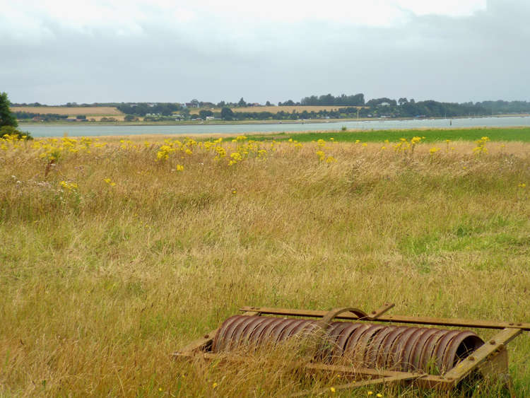 Golden fields in the peninsula