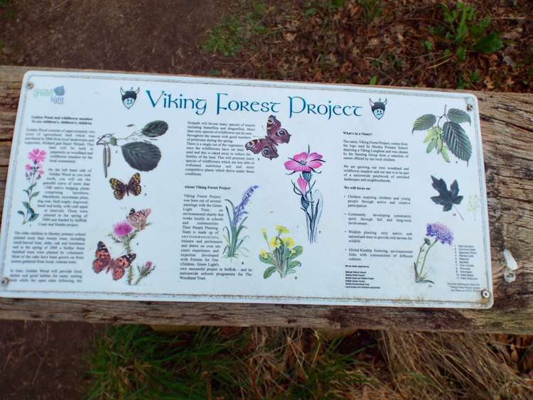 Viking Project information board (Picture credit: Nub News)