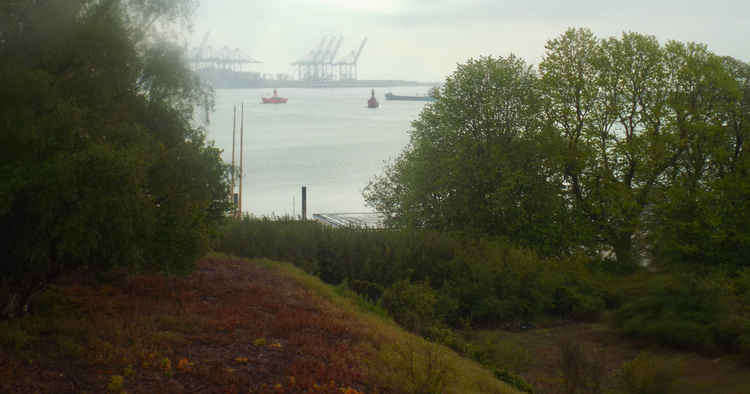 Views of the docks
