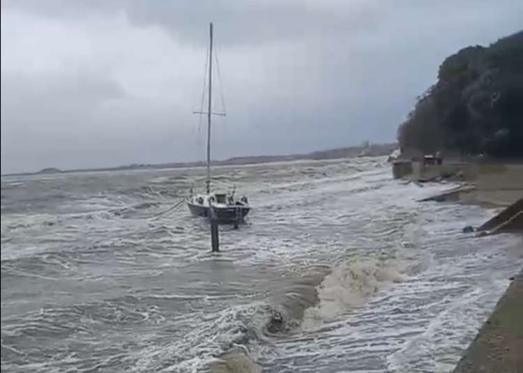 Pepper survived Storm Eunice 9Picture credit: Peninsula Nub News)