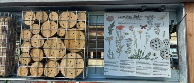 Unique green bike shelter (Picture credit: University of Suffolk)