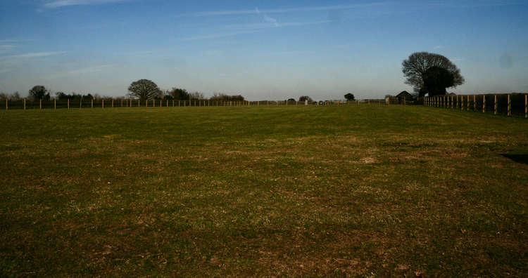 Four acres of Pear Tree Paws dog meadow (Picture credit: Peninsula Nub News)