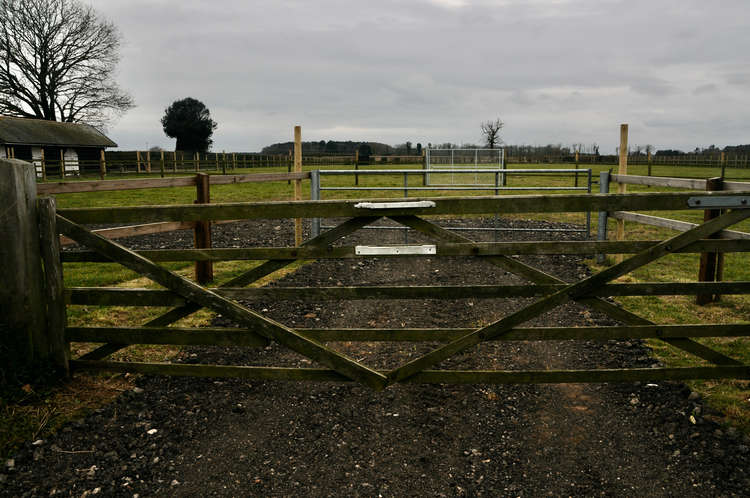 Secure Pear Tree Paws dog meadow (Picture credit: Peninsula Nub News)